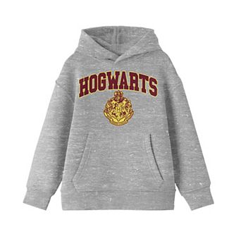 Boys 8-20 Harry Potter Hogwarts School Hoodie