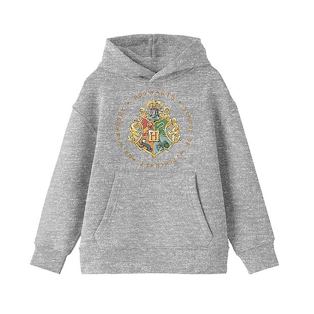 Boys 8-20 Harry Potter Hogwarts Crest Hoodie