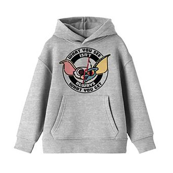 Boys 8-20 Gremlins Mogwai Gremlin Hoodie
