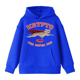 Boys 8-20 DC League of Super Pets Hoodie