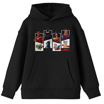 Boys 8-20 DC League Of Super Pets Pet Hoodie