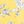 Yellow Multi