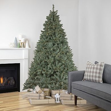 7.5' Pre-Lit Full Newport Spruce Artificial Christmas Tree LED Lights