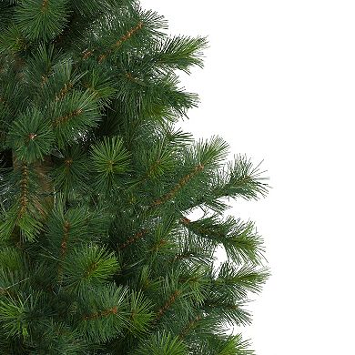 6.5' Royal Alpine Artificial Christmas Tree - Unlit