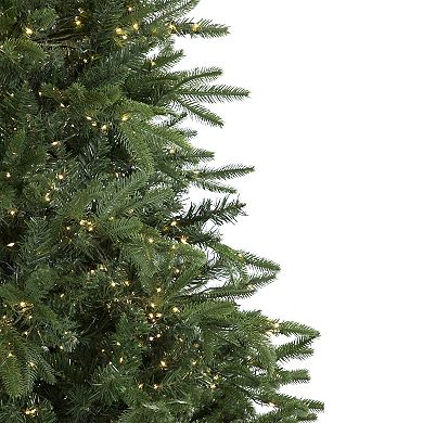 7.5' Pre-Lit Birch River Fir Artificial Christmas Tree Candlelight Clear Lights