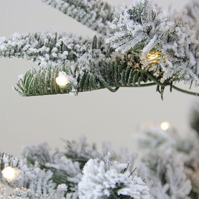6.5' Pre-Lit Flocked Slim Nordmann Fir Artificial Christmas Tree - Warm Clear LED Lights