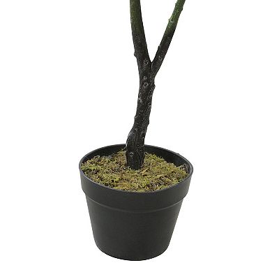4' Potted Two Tone Green Artificial Wide Fiddle Leaf Fig Tree