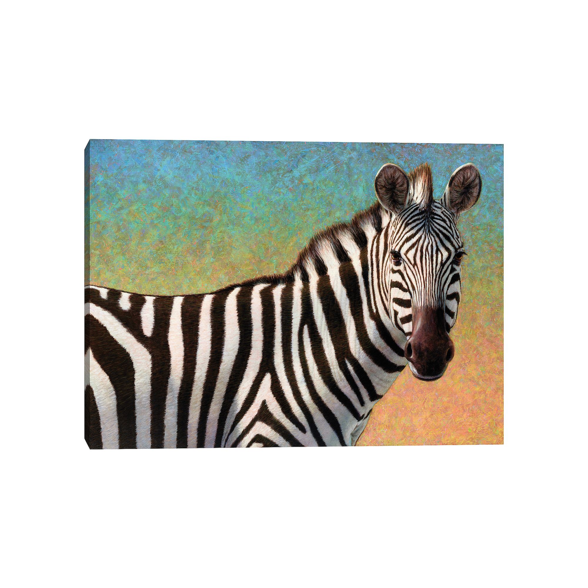 Masterpiece Portrait of a Zebra by James Johnson Canvas Art, Multi