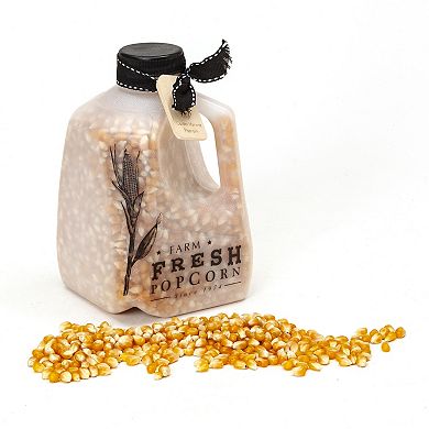 Wabash Valley Farms Classic Whirley-Pop Popcorn Popping Set