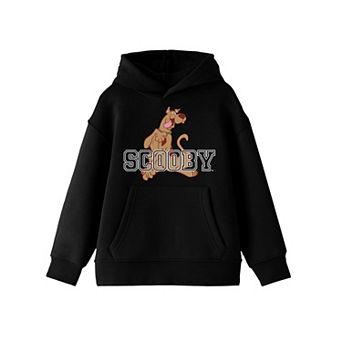 Boys 8-20 Scooby Doo See Through Hoodie