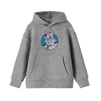 Boys 8-20 Scooby Doo Scared Hoodie