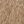 Brown Beige