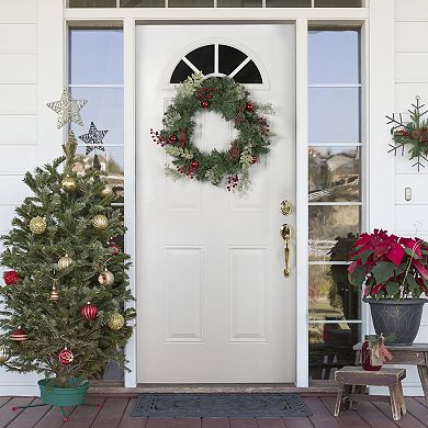 Decorated Frosted Pine and Pine Cone Artificial Christmas Wreath 24-Inch Unlit