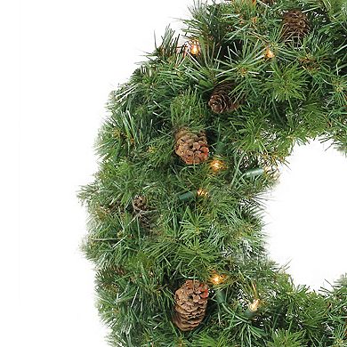 Pre-Lit Dakota Pine Artificial Christmas Wreath - 24-Inch Clear Lights