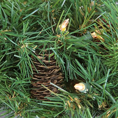 Pre-Lit Dakota Pine Artificial Christmas Wreath - 24-Inch Clear Lights