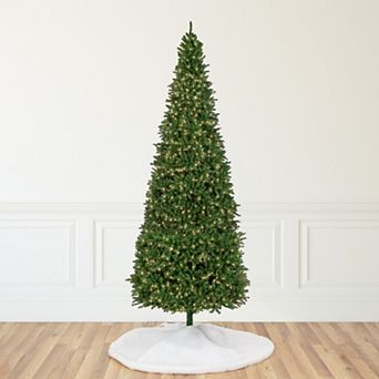 15' Pre-Lit Genoa Fraser Fir Slim Artificial Christmas Tree Clear Lights