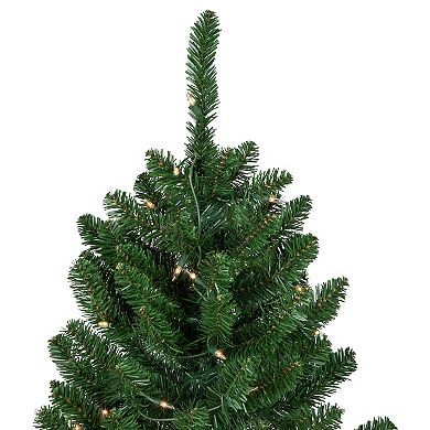 15' Pre-Lit Genoa Fraser Fir Slim Artificial Christmas Tree Clear Lights