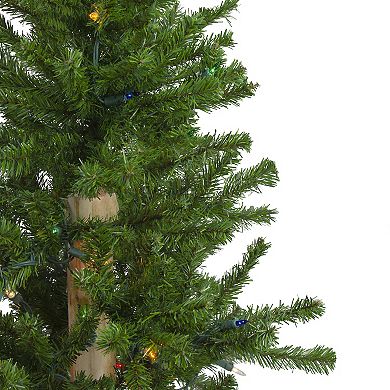 3' Pre-Lit Alpine Artificial Christmas Tree - Multi Lights