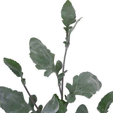 32" Green Frosted Oak Leaf Artificial Christmas Spray