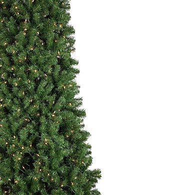 16' Pre-Lit Pendleton Spruce Slim Artificial Christmas Tree Clear Lights