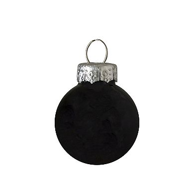 24ct Shiny and Matte Black Glass Ball Christmas Ornaments 1" (25mm)