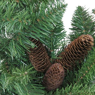 9' x 14" Dakota Red Pine Artificial Christmas Garland - Unlit