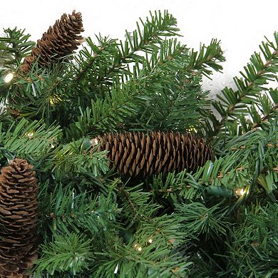 Pre-Lit Dakota Red Pine Commercial Artificial Christmas Wreath - 5-Foot Warm White LED Lights