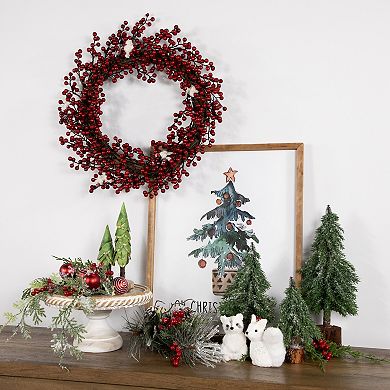 Red Berry with Frosted Accents Artificial Christmas Wreath - 18-Inch Unlit