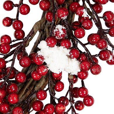 Red Berry with Frosted Accents Artificial Christmas Wreath - 18-Inch Unlit