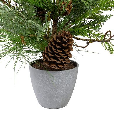 2' Potted Mixed Pine Cedar and Twig Artificial Christmas Tree - Unlit