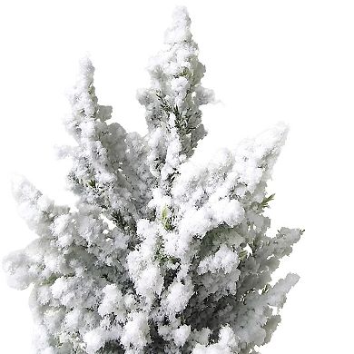12.5" Heavily Flocked Pine Tree in Burlap Base Christmas Decoration