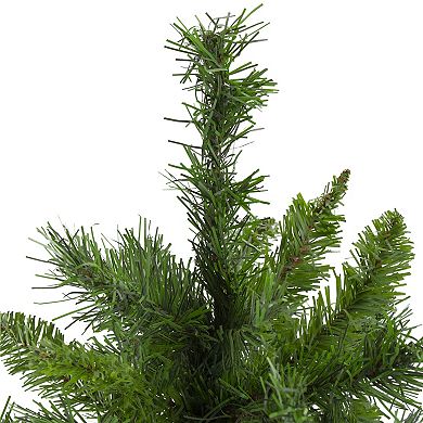24" Mixed Kateson Fir Medium Artificial Christmas Tree - Unlit