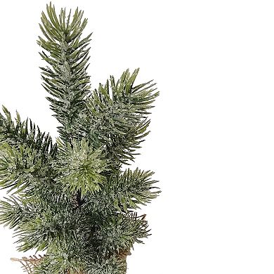 17.5" Icy Frosted Pine Tree in Burlap Base Christmas Decoration