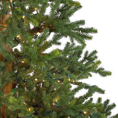 6.5' Pre-Lit Full North Pine Artificial Christmas Tree - Clear LED Lights