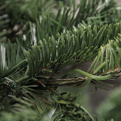 4.5 Ft Slim Nordmann Fir Layered Artificial Christmas Tree - Unlit
