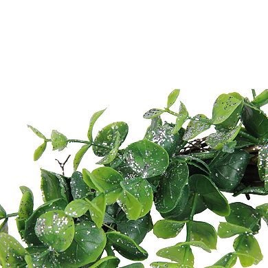 Sparkling Silver and Green Grass Decorative Artificial Christmas Wreath - 8.75-Inch Unlit