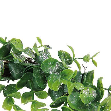 Sparkling Silver and Green Grass Decorative Artificial Christmas Wreath - 8.75-Inch Unlit