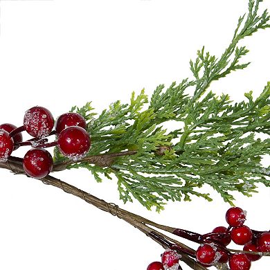 5' x 10" Frosted Red Berry Artificial Christmas Garland Unlit