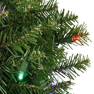 Pre-Lit Rockwood Pine Artificial Christmas Wreath 24-Inch Multi LED Lights