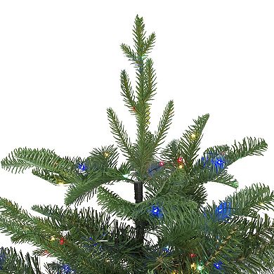 7.5' Pre-Lit Medium Ashland Sitka Spruce Artificial Christmas Tree - Multicolor LED Lights