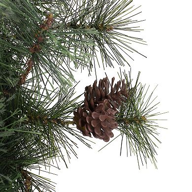 24" Country Mixed Pine Artificial Christmas Wreath - Unlit
