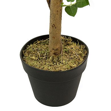4' Green and White Potted Floral Artificial Rose Garden Tree