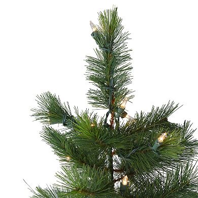 6.5' Pre-Lit Slim Royal Alpine Artificial Christmas Tree - Clear Lights