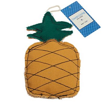 Country Living Durable Dog Chew Toy - Pineapple-Shaped, Made with Canvas & Jute