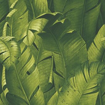 NextWall Banana Leaves Peel and Stick Wallpaper
