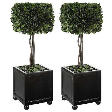 Uttermost Preserved Boxwood Square Topiary Floor Decor 2-piece Set