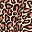 Brown Cheetah
