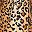 Brown Leopard