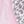 Pink Leopard