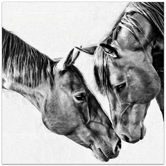Empire Art Direct Kindred Colts Tempered Frameless Glass Wall Art